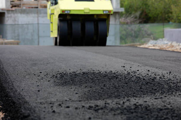 Best Residential Driveway Paver Services  in Mion, AR