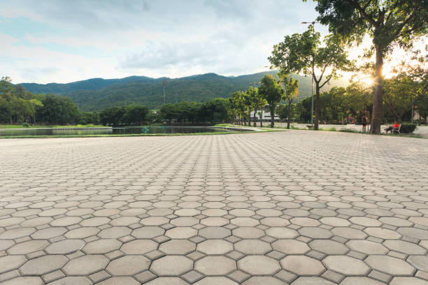 Best Commercial Driveway Pavers  in Mion, AR